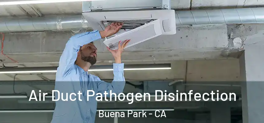 Air Duct Pathogen Disinfection Buena Park - CA