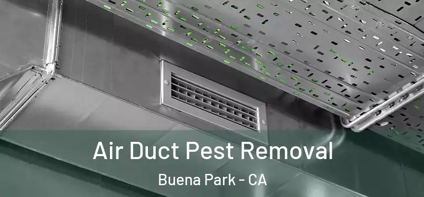  Air Duct Pest Removal Buena Park - CA