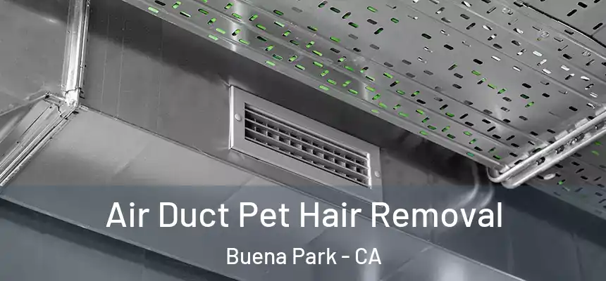 Air Duct Pet Hair Removal Buena Park - CA