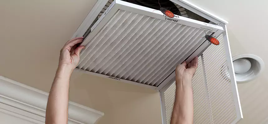 Preventive Cockroach-Proofing for Ducts in Buena Park