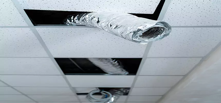 Affordable HVAC Sanitizing After Pest Removal in Buena Park