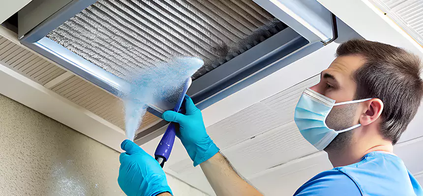 Proactive Dryer Vent & Auxiliary Duct Pollen Cleanup in Buena Park, CA