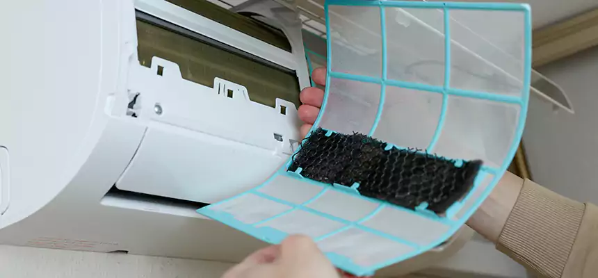 Gentle Ductwork Odor-Control Pet Dander Duct Cleaning in Buena Park, CA