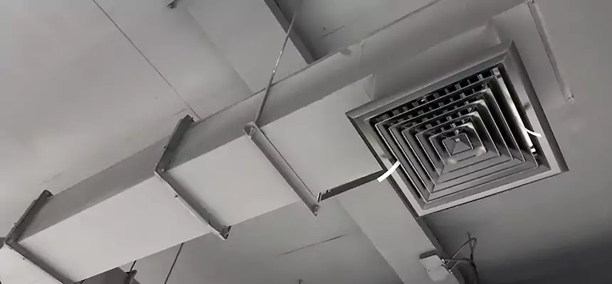 Our Rodent Droppings In Vents Services in Buena Park, CA