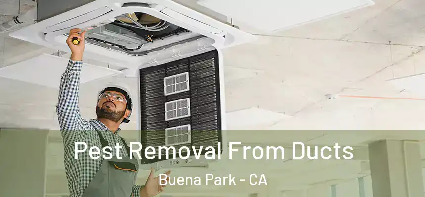 Pest Removal From Ducts Buena Park - CA