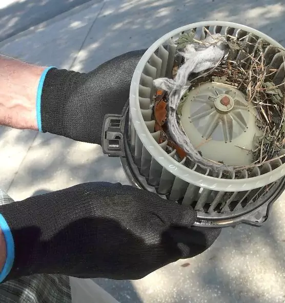 About Air Duct Mice Removal in Buena Park, CA