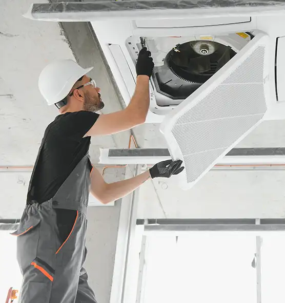 About Air Duct Rodent Removal in Buena Park, CA