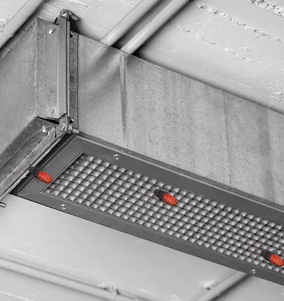 Affordable Insect Removal from Air Ducts in Buena Park, CA