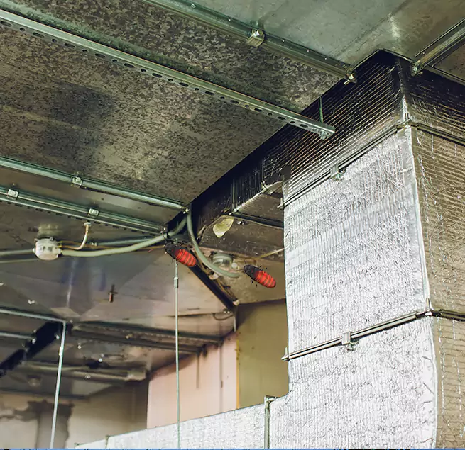 Why Homeowners & Businesses Trust Us Buena Park, CA?